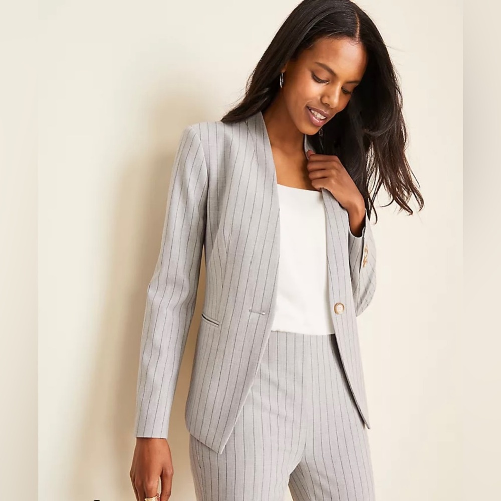 NWT Ann Taylor pinstripe suit set